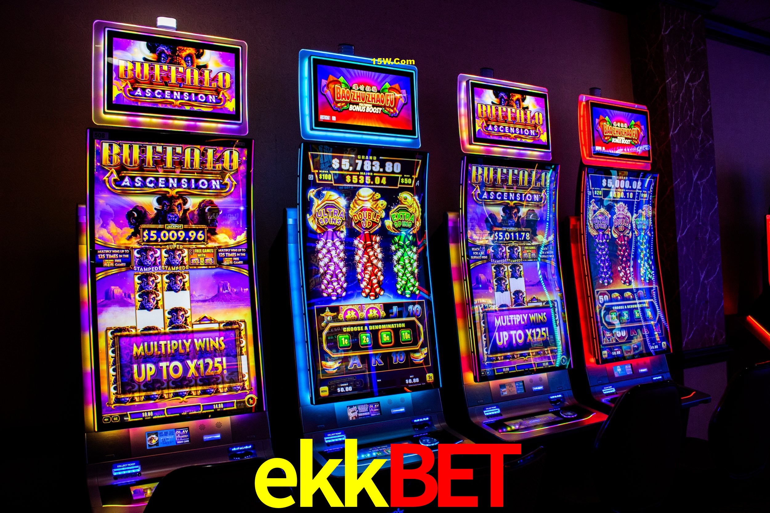 Experiência VIP ekkbet